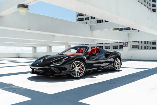 ReloadBet Casino Application Android/iOS